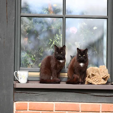 בית נופש Am Garder Inselblick *