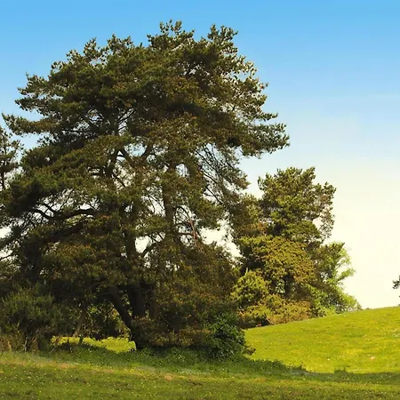 Am Garder Inselblick בית נופש *
