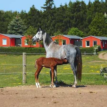 Am Garder Inselblick בית נופש Lohmen (Mecklenburg-Vorpommern)