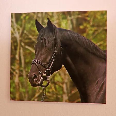 Am Garder Inselblick Lohmen (Mecklenburg-Vorpommern)